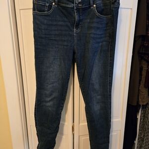 Torrid Dark Blue Jeggings